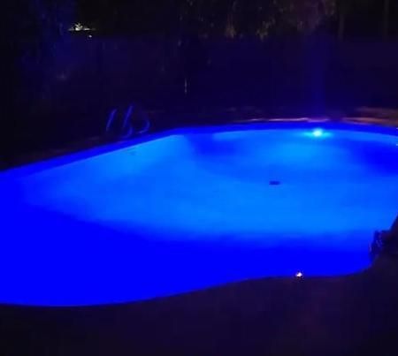 Private Poolside 5Br Villa Clearwater Dış mekan fotoğraf